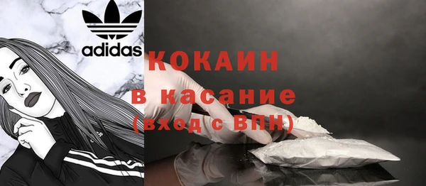 стаф Сатка