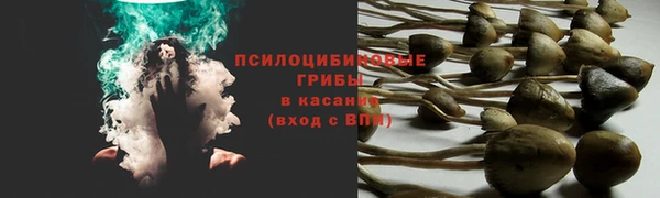 стаф Сатка