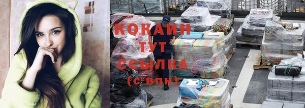 стаф Сатка