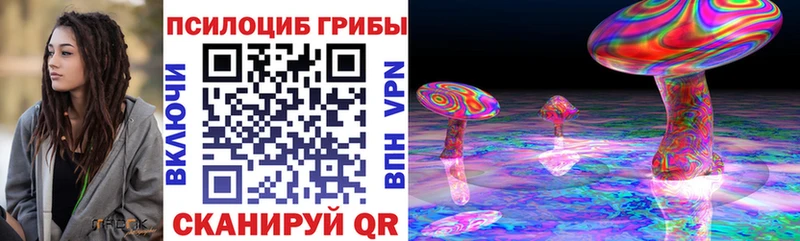 закладки  mega онион  Псилоцибиновые грибы Psilocybe  Чкаловск 